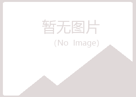 包头青山平淡咨询有限公司